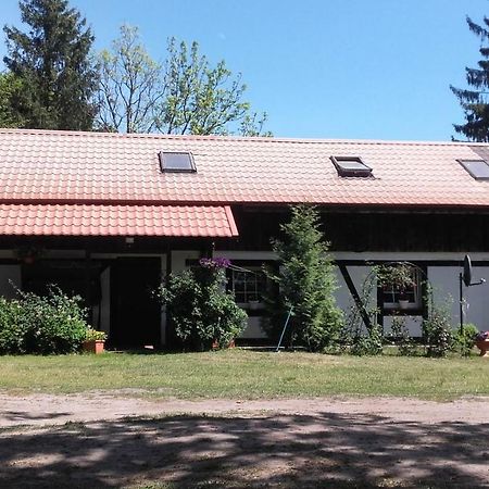 Agroturystyka Pod Debami W Klukach Smołdzino Kültér fotó