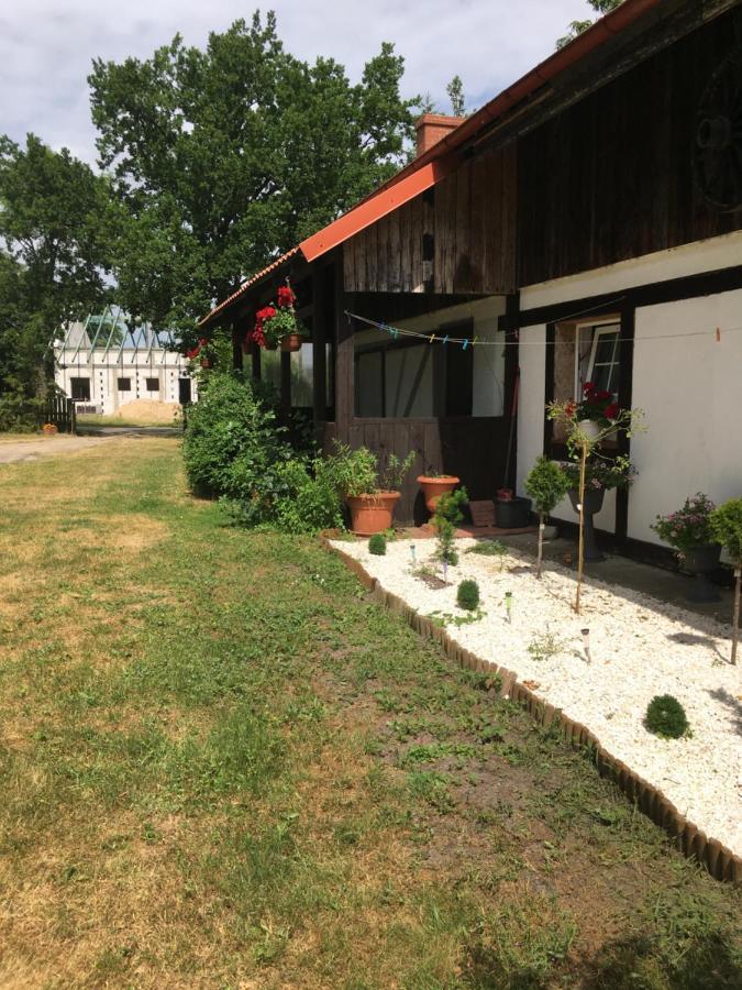Agroturystyka Pod Debami W Klukach Smołdzino Kültér fotó
