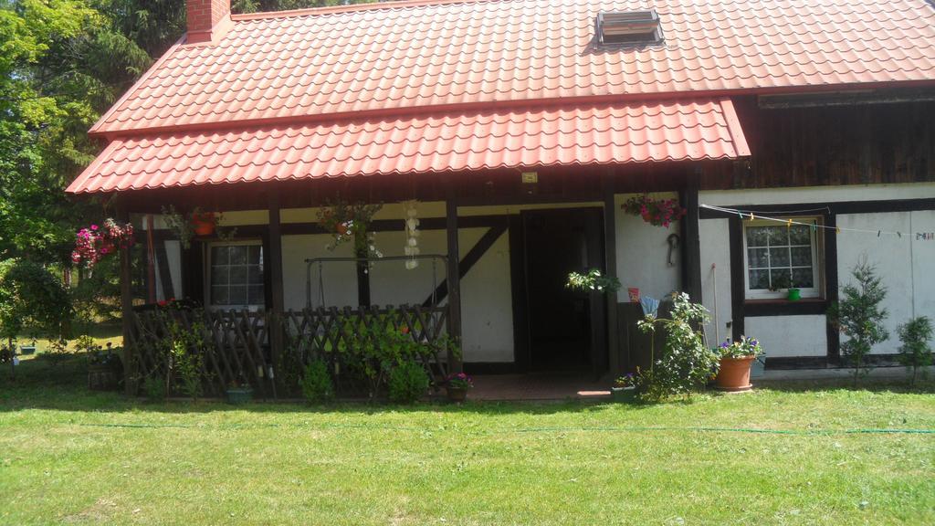 Agroturystyka Pod Debami W Klukach Smołdzino Kültér fotó