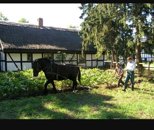 Agroturystyka Pod Debami W Klukach Smołdzino Kültér fotó