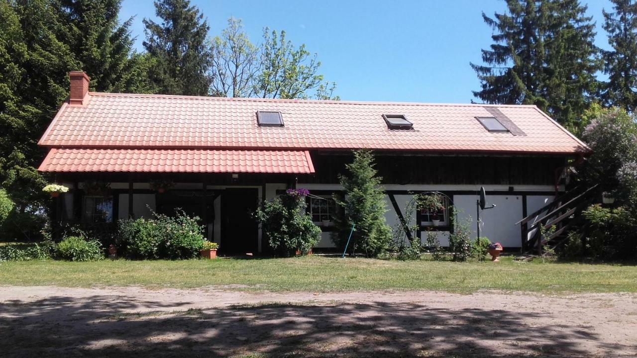 Agroturystyka Pod Debami W Klukach Smołdzino Kültér fotó