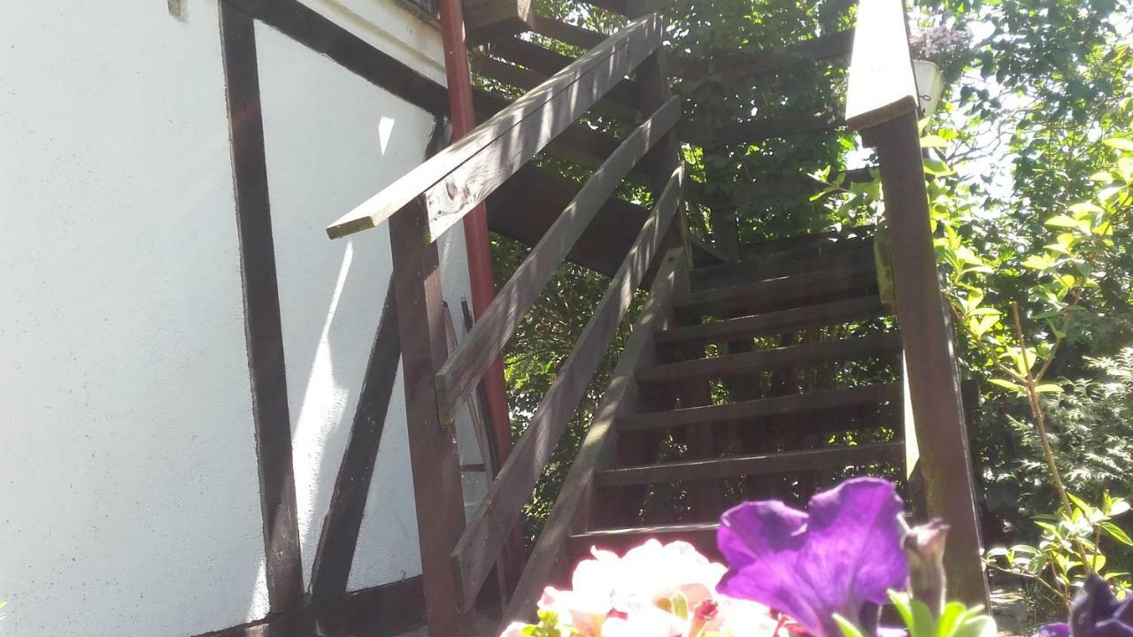 Agroturystyka Pod Debami W Klukach Smołdzino Kültér fotó