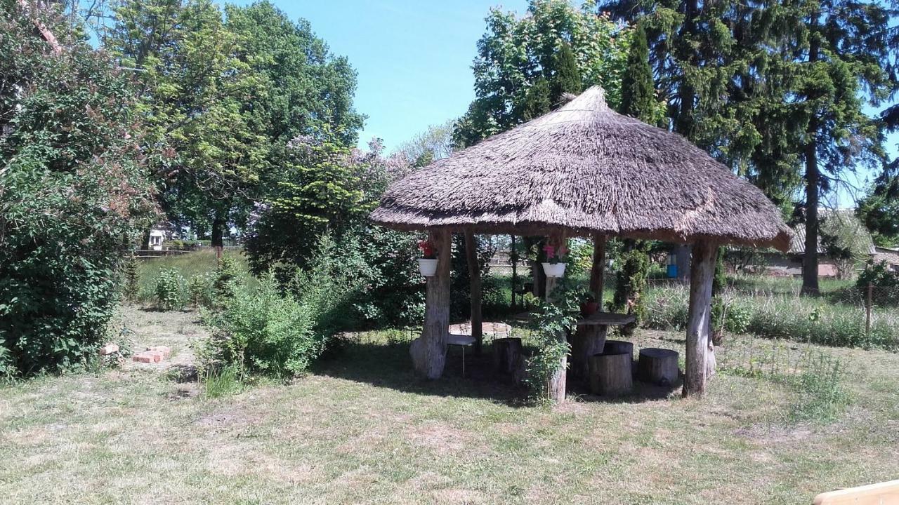 Agroturystyka Pod Debami W Klukach Smołdzino Kültér fotó
